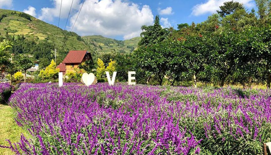 Captivating Tourist Spots in Bac Ha Highlands