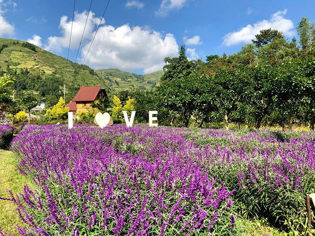 Captivating Tourist Spots in Bac Ha Highlands