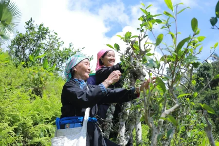 BẮC HÀ – NẬM KHÁNH – BẢN LIỀN