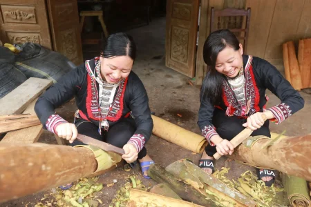 DOWN TO “CỐC LY” MARKET – SEE THOUSAND-YEAR-OLD TREES